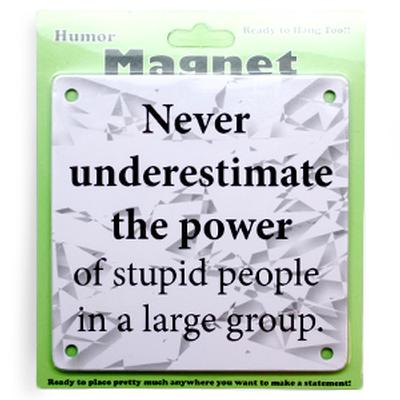 Click to get The Power of Stupid People Magnet