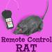 Remote Controlled Rat