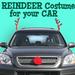Reindeer Costume for Cars